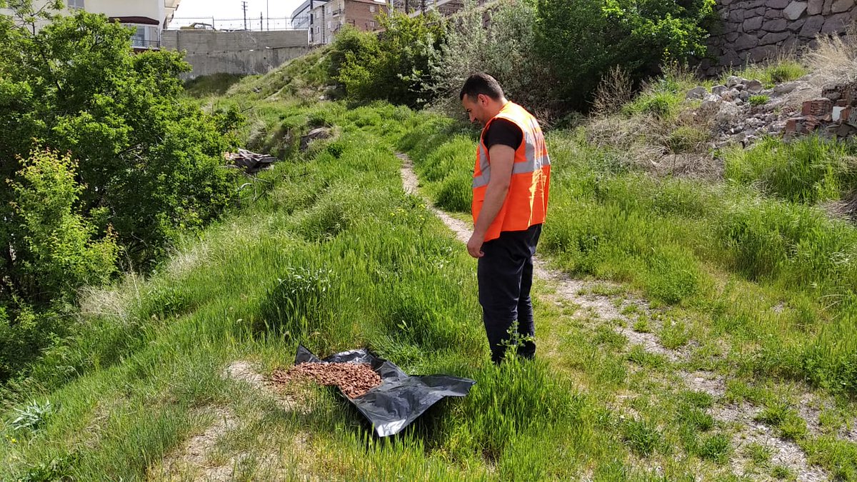 Bizim yolumuzu bekleyen can dostlarımızı yalnız bırakmadık🐶🐱

🚩Kuzey Ankara
🚩Solfasol 
🚩Baraj
🚩Doğantepe 
🚩Battalgazi
🚩Aydınlıkevler
🚩Karacaören 
🚩Beşikkaya