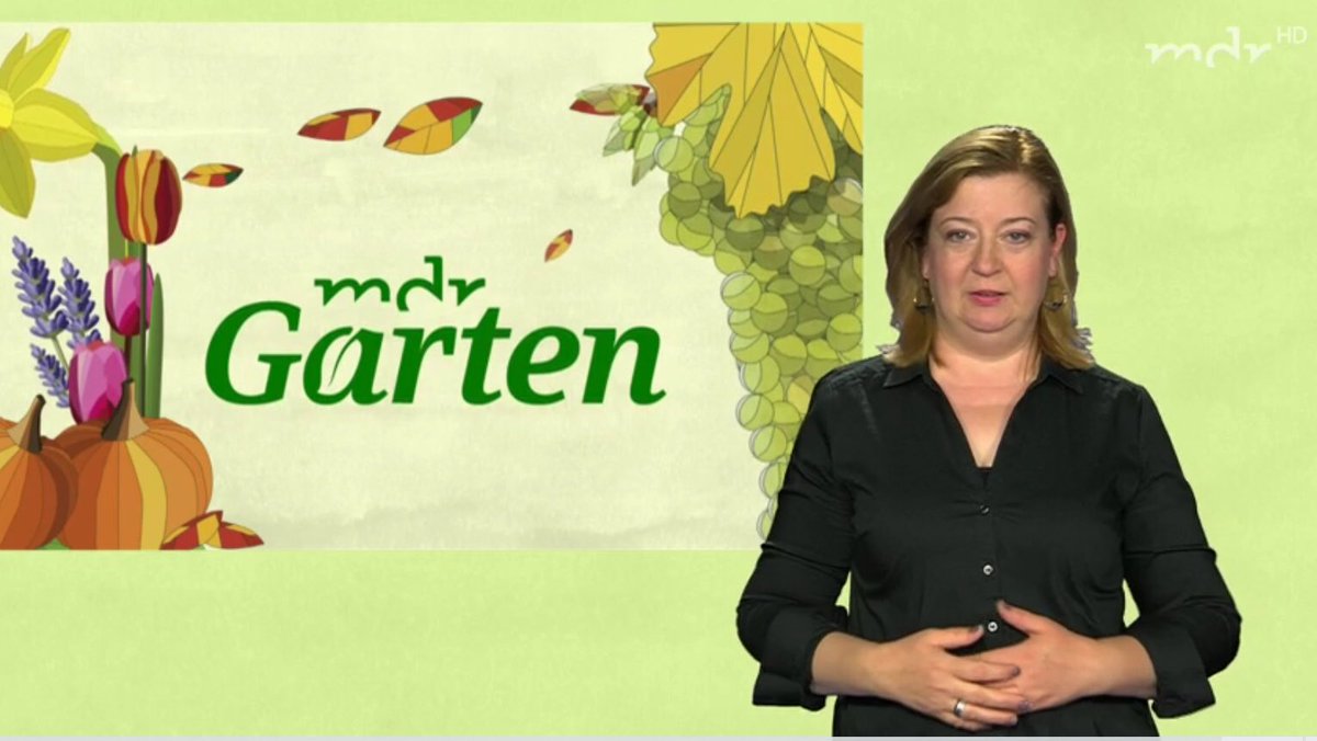 georgschmolz's tweet photo. Jeden Samstag neu: #MDR GARTEN mit #DGS #Gebärde. Für #gehörlose Menschen schon heute online unter https://t.co/XNtPH4CJ4n #deaf #Barrierefreiheit #inklusionist #Teilhabe @glzeitung ⁦@Paritaet⁩ ⁦@aktion_mensch⁩ ⁦@VdK_Deutschland⁩ ⁦@gehoerlosenbund⁩ https://t.co/Q63FzNSWUM