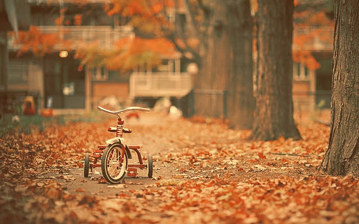 lostkwontrol's tweet photo. ♥*♡∞:｡.｡🍁🍁🍁🍁🍁🍁🍁｡.｡:∞♡*♥

         𝓘'𝓶 𝓼𝓸 𝓰𝓵𝓪𝓭 𝓘 𝓵𝓲𝓿𝓮 𝓲𝓷 𝓪 𝔀𝓸𝓻𝓵𝓭
               𝔀𝓱𝓮𝓻𝓮 𝓽𝓱𝓮𝓻𝓮 𝓲𝓼 𝓨𝓞𝓤~

♥*♡∞:｡.｡🍁🍁🍁🍁🍁🍁🍁｡.｡:∞♡*♥

@pledis_17 #SEVENTEEN
#17CaratSelcaDay #CaratSelcaDay #CSD https://t.co/5CXPenHLgu