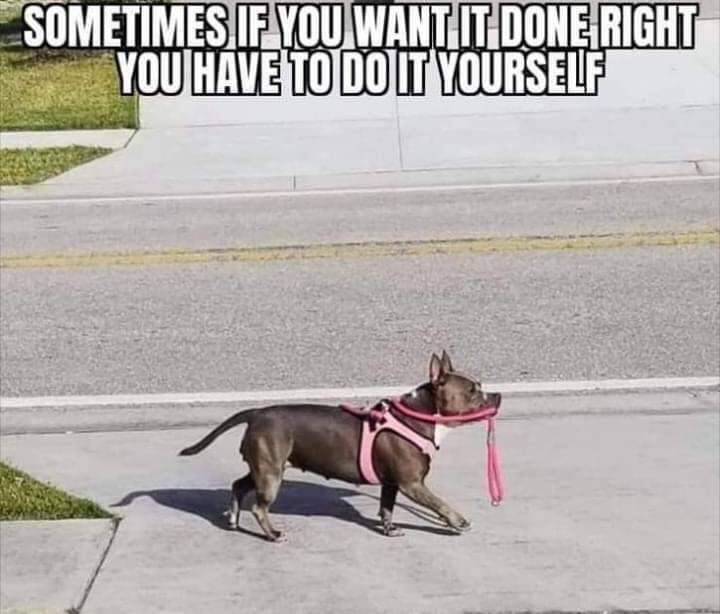 Sensor Health tweet media