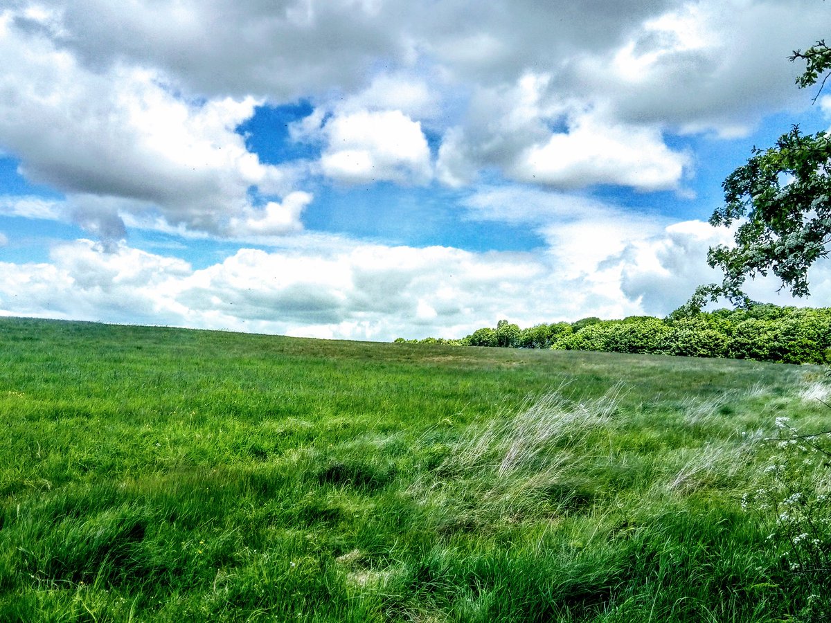 TheMildRover's tweet photo. Lovely couple of hours, wandering with the hound. I feel blessed to have all this within walking distance of the front door.
#DailyWander
🧙♂️🖤☮️ https://t.co/pL6WKTJZYp