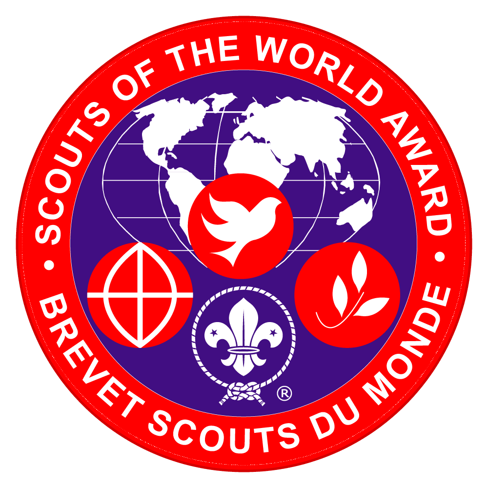 One of our Top Awards Ambassadors @Harrison_Gorst1 is attending the UK's first ever virtual #SOWA discovery weekend. The first step in completing the award! 
 scouts.org.uk/network/awards…