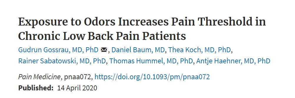 A new study published in Pain Medicine found that odor exposure improved the pain threshold of lower back patients.The subjects smelled 4 different odors (rose, vanilla, chocolate, peach) every two hours for four weeks, and decreased their pain sensitivity.