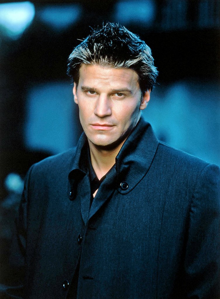 Happy birthday to American actor, television producer, and director David Boreanaz, born May 16, 1969. 