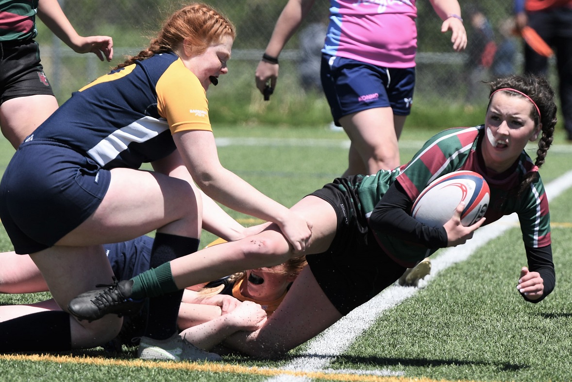 hometownplayca's tweet photo. A year ago @SJHS_RAMS' girls rugby team, in their first season, advance to OFSAA. We'll have to wait another year to see how the team builds on their debut. https://t.co/lY21eGx9BA