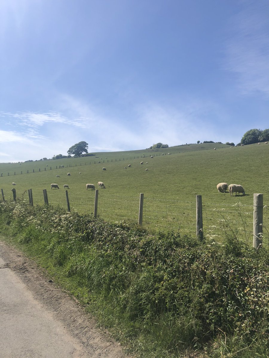 farmermat1's tweet photo. This isn’t Spain this is beautiful Wales 🏴🌈❤️#stillonlockdown https://t.co/uEZ39jMoMe