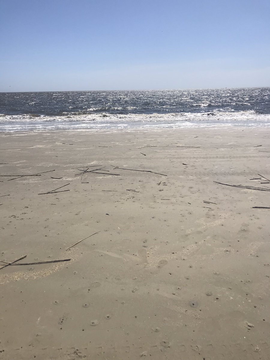 ShawGamble's tweet photo. Beach time ! https://t.co/FVV7fNLvX8