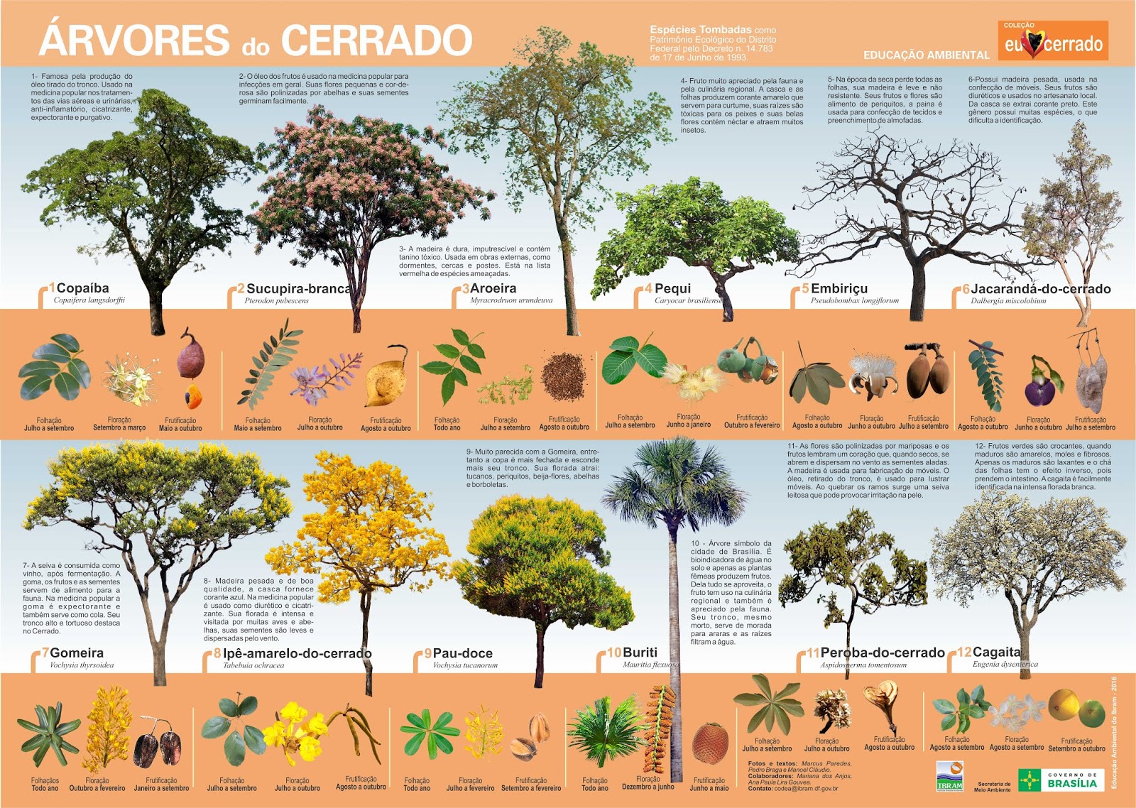 Programa Biota/Fapesp on Twitter: 