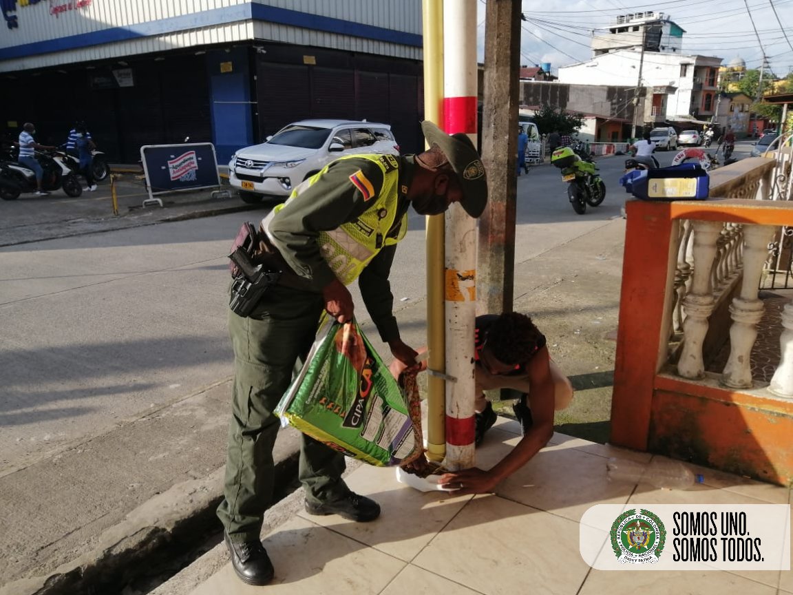 ProteccionPonal's tweet photo. #AEstaHora en coordinación con la Fundación #Proanimales y #ProtecciónAmbiental de #Quibdó se realiza la instalación de comederos portátiles y abastecimiento de concentrado para los 🐶🐱 en condición de calle.
#NoEstánSolos
#SomosUnoSomosTodos https://t.co/iR3Z24GsuG