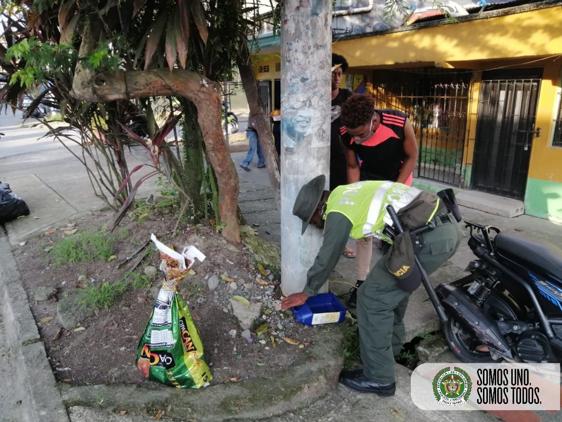 ProteccionPonal's tweet photo. #AEstaHora en coordinación con la Fundación #Proanimales y #ProtecciónAmbiental de #Quibdó se realiza la instalación de comederos portátiles y abastecimiento de concentrado para los 🐶🐱 en condición de calle.
#NoEstánSolos
#SomosUnoSomosTodos https://t.co/iR3Z24GsuG