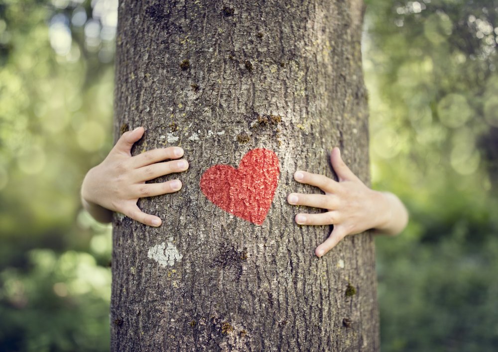 Happy National Love a Tree Day! We have a lot of beautiful ones here at Pocono Farms. Go hug one! Social distancing not required. 🙂
