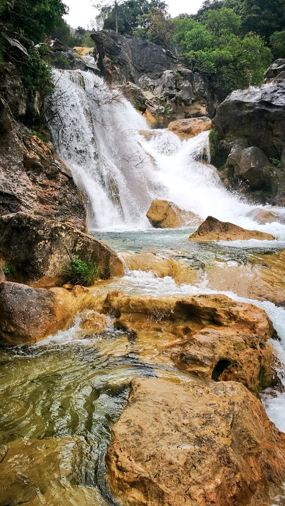 Irene Cruz Lara (@irenecruzlara1) on Twitter photo #sierradecazorla #naturaleza #arroyofrio <a href="/jaenturismo/">Jaén ParaísoInterior</a> <a href="/PNSierraCazorla/">PN Sierra de Cazorla</a> Cerrada del Utrero, Guadalquivir suena con fuerza!!!👏👏 #sierradecazorla #naturaleza #arroyofrio <a href="/jaenturismo/">Jaén ParaísoInterior</a> <a href="/PNSierraCazorla/">PN Sierra de Cazorla</a> Cerrada del Utrero, Guadalquivir suena con fuerza!!!👏👏