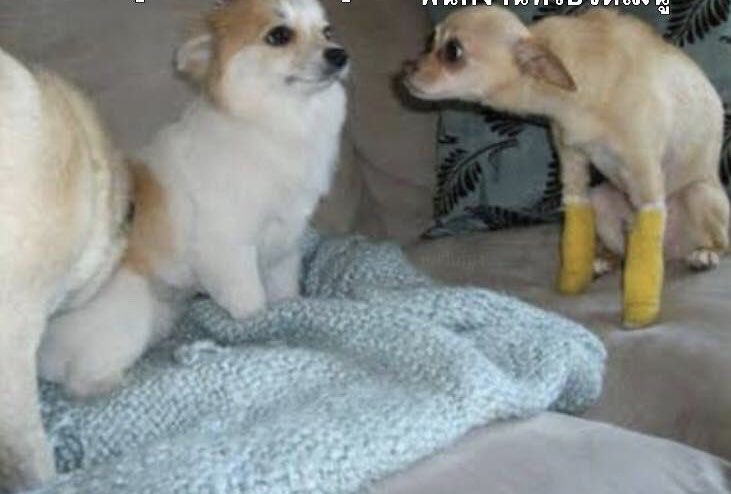 ก็คือเป็นคนเดียวที่ไม่ได้เข้ากลุ่มเรียน

ชั้น.                            ครูและเพื่อนในกลุ่ม