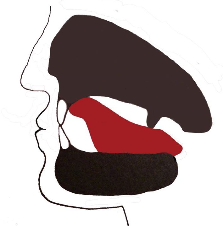 Cranial Labor #5 - Tongue PostureProper tongue posture prevents you from clenching your teeth during the day, which hinders the communication between your Trigeminal nerve and your brain.Keep your tongue pressed against the roof of your palate when your mouth is closed.