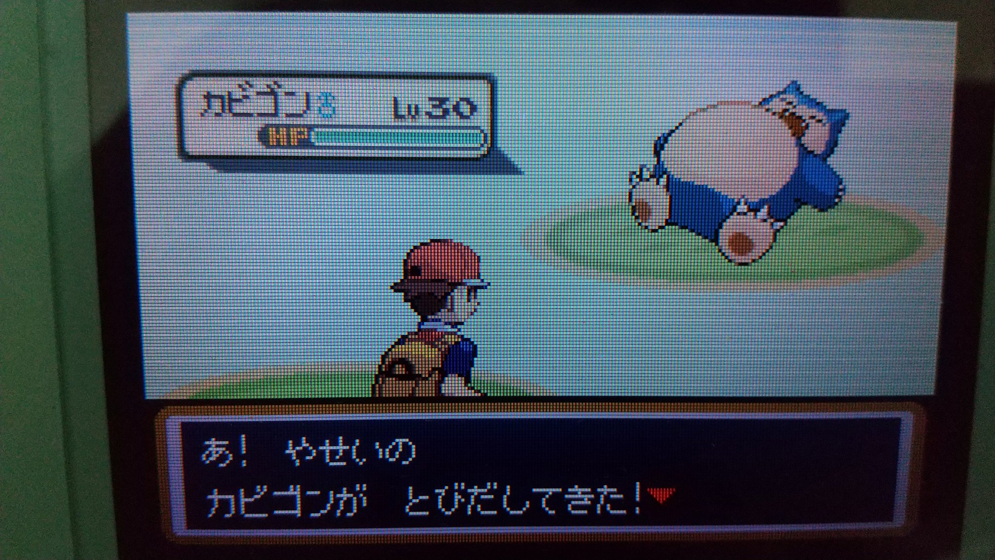 Yb 色違いカビゴン4363匹目で出たんですよ 出たんですけどね T Co Nngn00o8ij Twitter