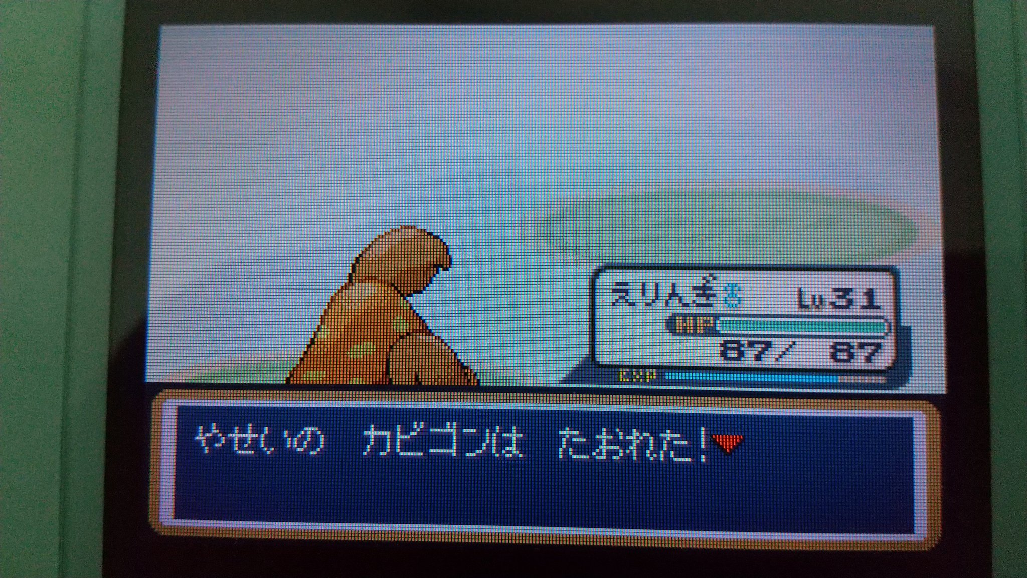 Yb 色違いカビゴン4363匹目で出たんですよ 出たんですけどね T Co Nngn00o8ij Twitter