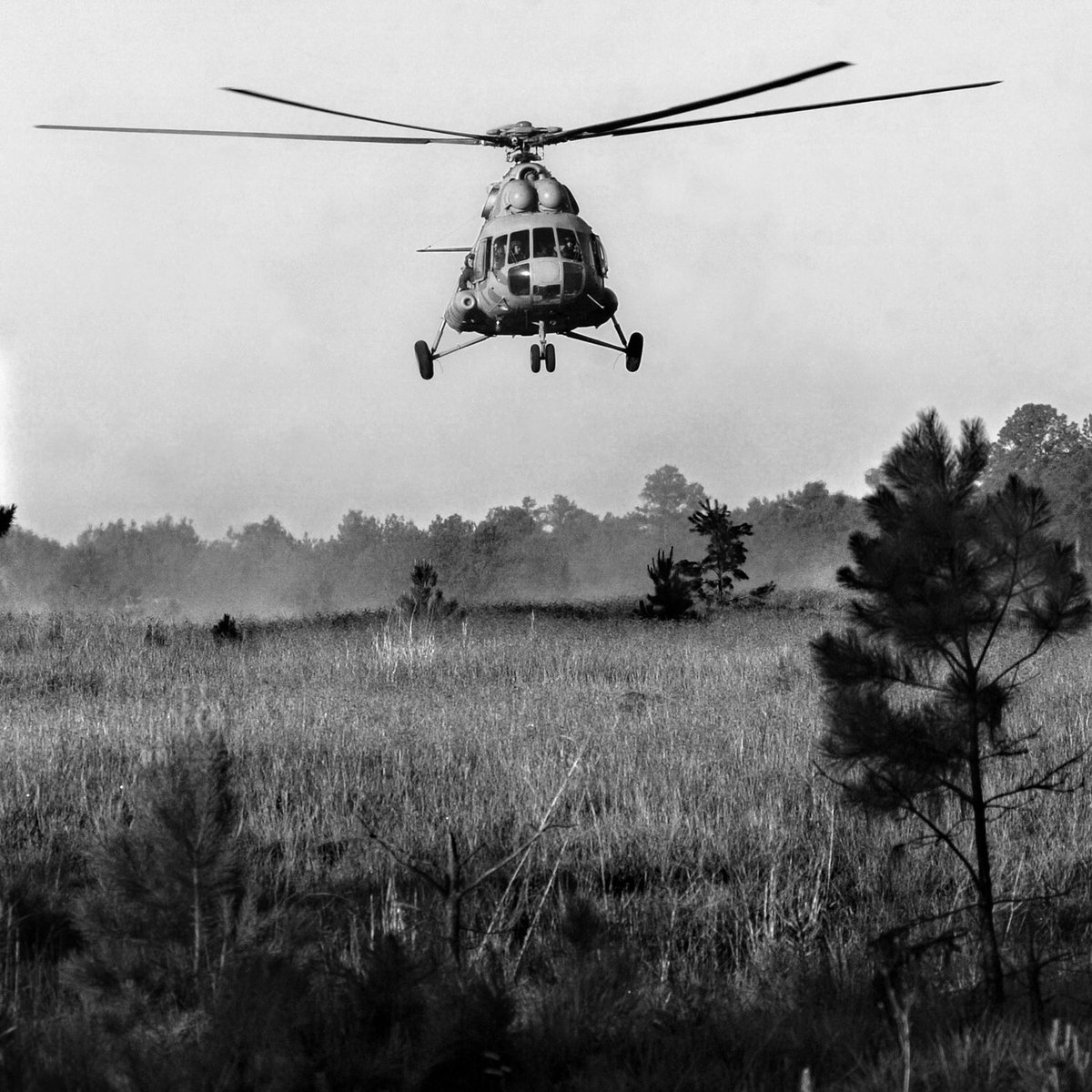 DesignSod's tweet image. jimosborne.net/artist-stateme…
Shout-Out Saturday
MEET JIM OSBORNE!
Photography as a form of art and the implication of its continued pursuit has evolved for me over the last several years. I am fascinated by the intrinsic capacity of... 
#shoutoutsaturdaysod #latechsod #latechsodalumni