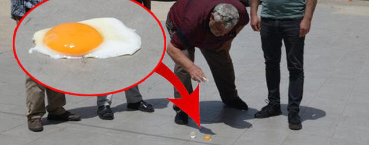 Tourism Van tweet media