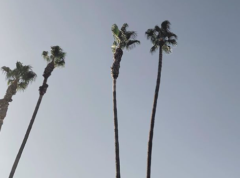 - ᴘᴇʀᴍᴀɴᴇɴᴛ ꜱᴛᴀʀᴛᴇʀ ᴄᴀʟʟ -

ʟɪᴋᴇ : ᴀ ꜱɪɴɢʟᴇ ᴡᴏʀᴅ ᴏʀ ᴘʜʀᴀꜱᴇ.

ʀᴛ : ᴀ ᴍɪɴɪᴍᴜᴍ ᴏꜰ 3-4 ᴡʀɪᴛᴛᴇɴ ᴛᴡᴇᴇᴛꜱ ꜰᴏʀ ᴀ ꜱᴛᴀʀᴇʀ.

ʀᴛ/ʟɪᴋᴇ : ᴀ ᴅᴍ ɪɴᴠᴀꜱɪᴏɴ ᴛᴏ ᴘʟᴏᴛ ᴀ ꜱᴛᴀʀᴛᴇʀ.