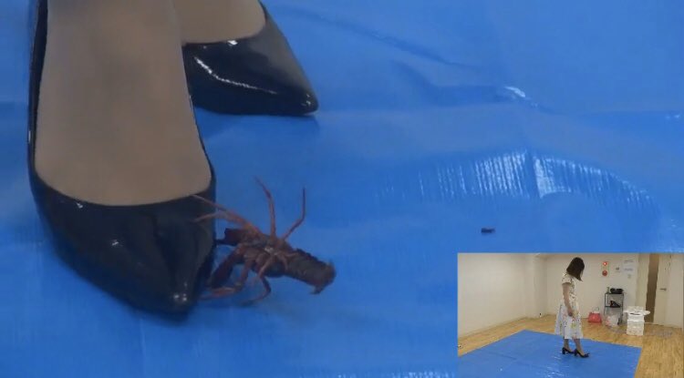 クラッシュファブリック Amqutgwcjkbbxrq さん Twitter