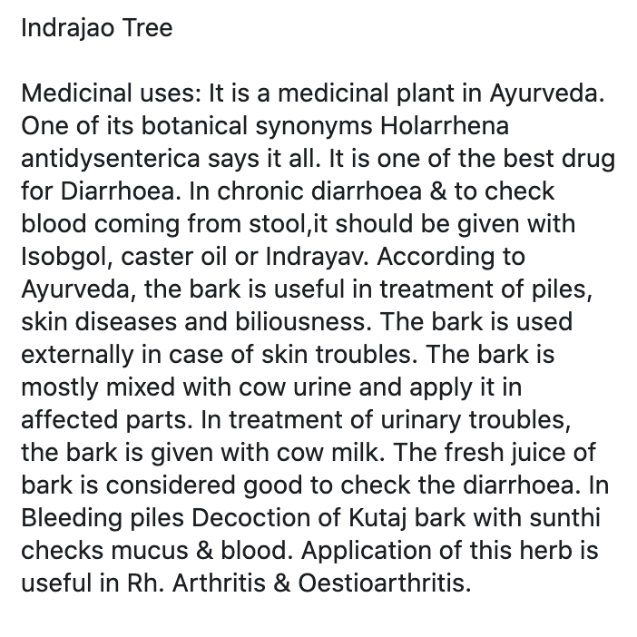 IamTreepathi's tweet photo. #KnowYourNativeTree
It is one of the best drug for Diarrhoea. According to #Ayurveda Ayurveda, the bark is useful in treatment of piles, skin diseases and biliousness. The bark is used externally in case of skin troubles. 

#IndrajaoTree #NativeTree #IndigenousTrees #IndianTrees https://t.co/372Hn1KRiW