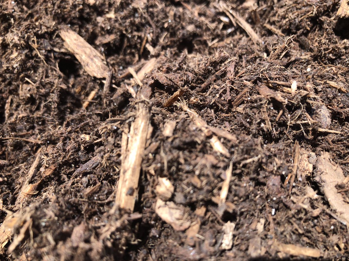 Jaredpelletier_'s tweet photo. Welp, I know what Iβll be busy doing all day... #freshmulch https://t.co/6PsW1D65Sb