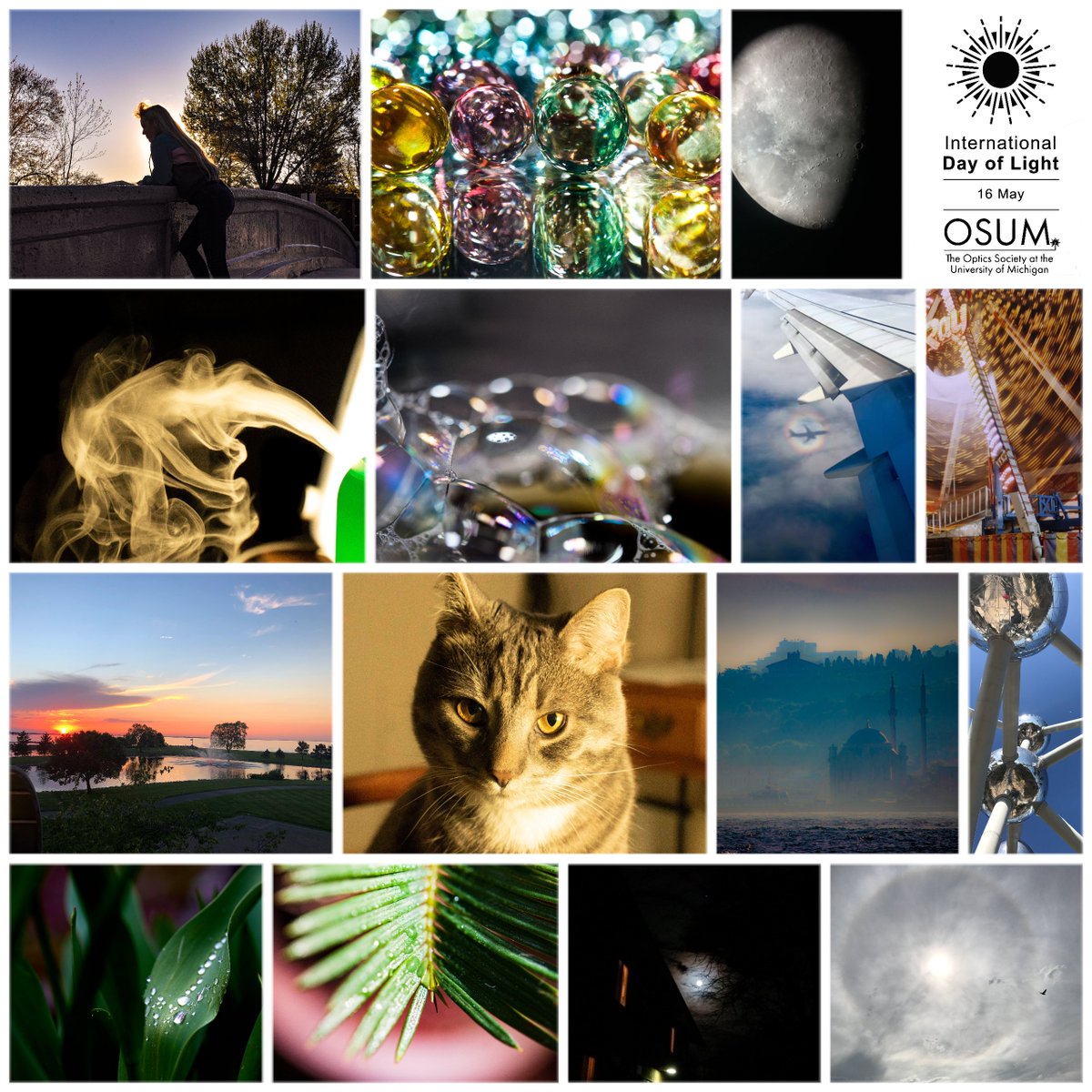 OpticsUMICH's tweet photo. Submissions from our International Day of Light Photo Contest are in! Thanks for all of the awesome entries from our members! #IDL2020 #SeeTheLight https://t.co/hNdqdlsAhl
