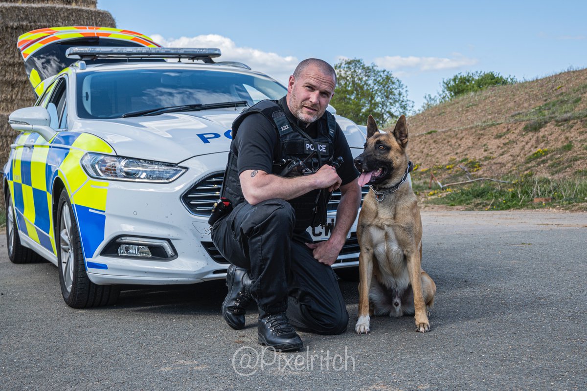pixelritch's tweet photo. Now if only @ClevePol_Dogs @ClevelandPolice @CollarsF did calendars this would be in there!! @JustinMoffitt1 @K9Team_R_Us @thedogman_918 @dazzla2118 @dazk999 @2310_mo Show Liam this lads..#policeinterceptors #cdsou https://t.co/22yJetwz4P