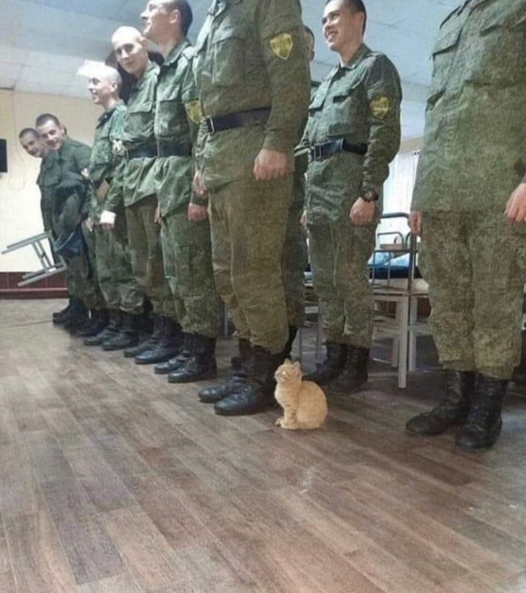 imshubhrasharma's tweet photo. Me trying to fit in a group I didn't belong and became the reason for their laugh
#MEMES #memes2020 #ModestlsOverParty https://t.co/8z5quHn8oV