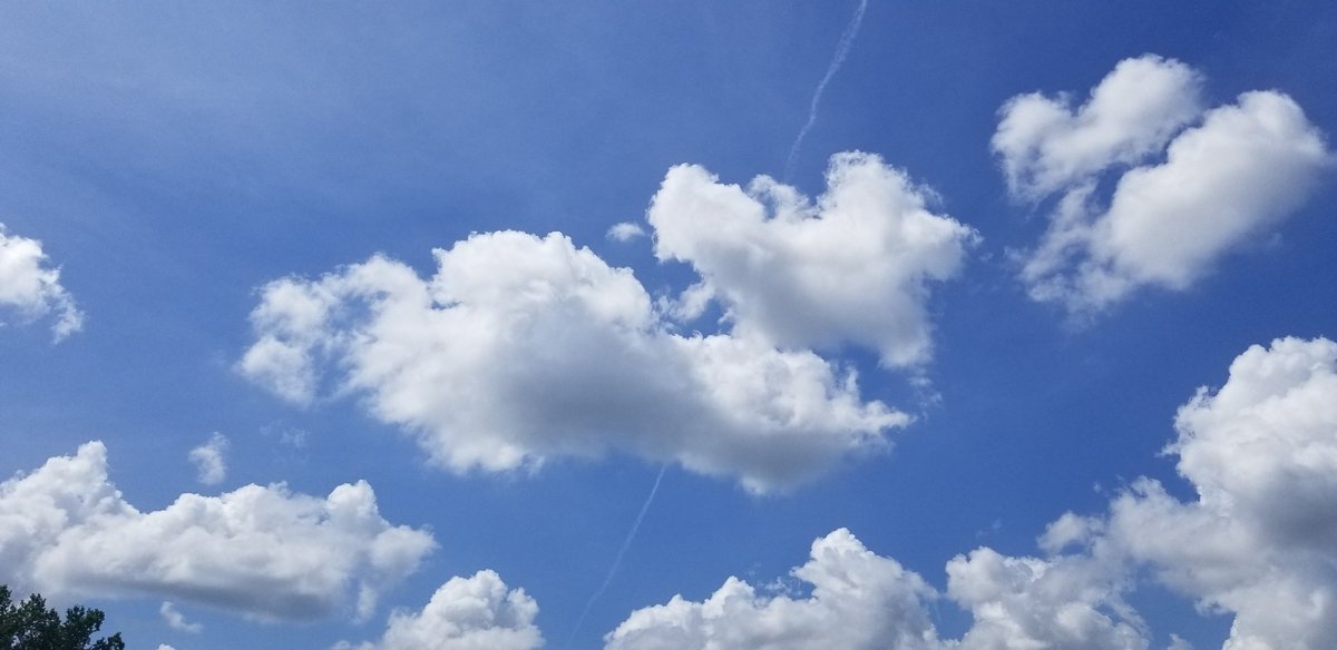 CynthiaSJewell's tweet photo. Thanks for encouraging me to focus on the positive during this time of uncertainty @melissa13thomas! Blue skies = JOY!
#ExpectExceptionalHCS #BetterTogetherHenry #ExpectConnectivity #Focus #growthmindset https://t.co/Go0KMeOKHA