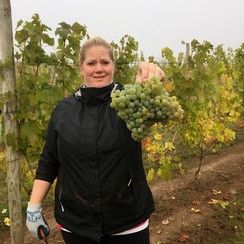 Kramer Vineyards tweet media