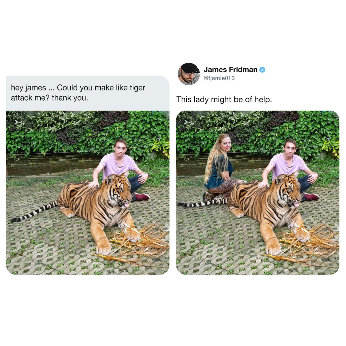 James Fridman (@fjamie013) on Twitter photo 