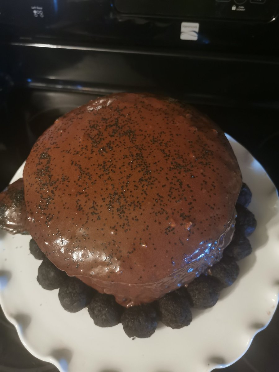 kuh_triina's tweet photo. When Kaio requests a chocolate cake with chocolate icing for his bday, I attempt to deliver. 😂🙈 #NailedIt #CantMakeCakes #SuchaFail, 🤦🏽♀️ https://t.co/nGUJQNV1b5