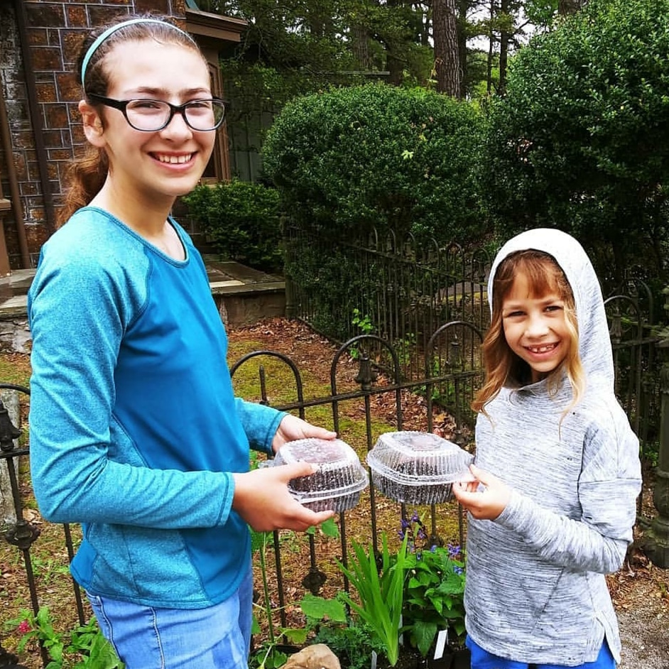 Today is <a href="/NatParkTrust/">National Park Trust</a> #ParksToKids Day and you can join in! Go to kidstoparks.org for activities. You can help parks at home by #reducing #reusing and #recycling like these mini planters made from takeout containers