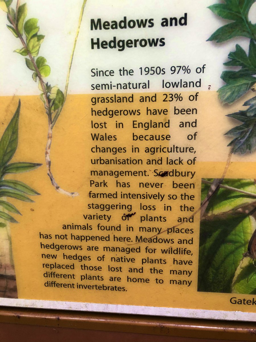 KayWorboys's tweet image. I’m embarrassed about how much that double many and different bothers me

#subeditor #pedant