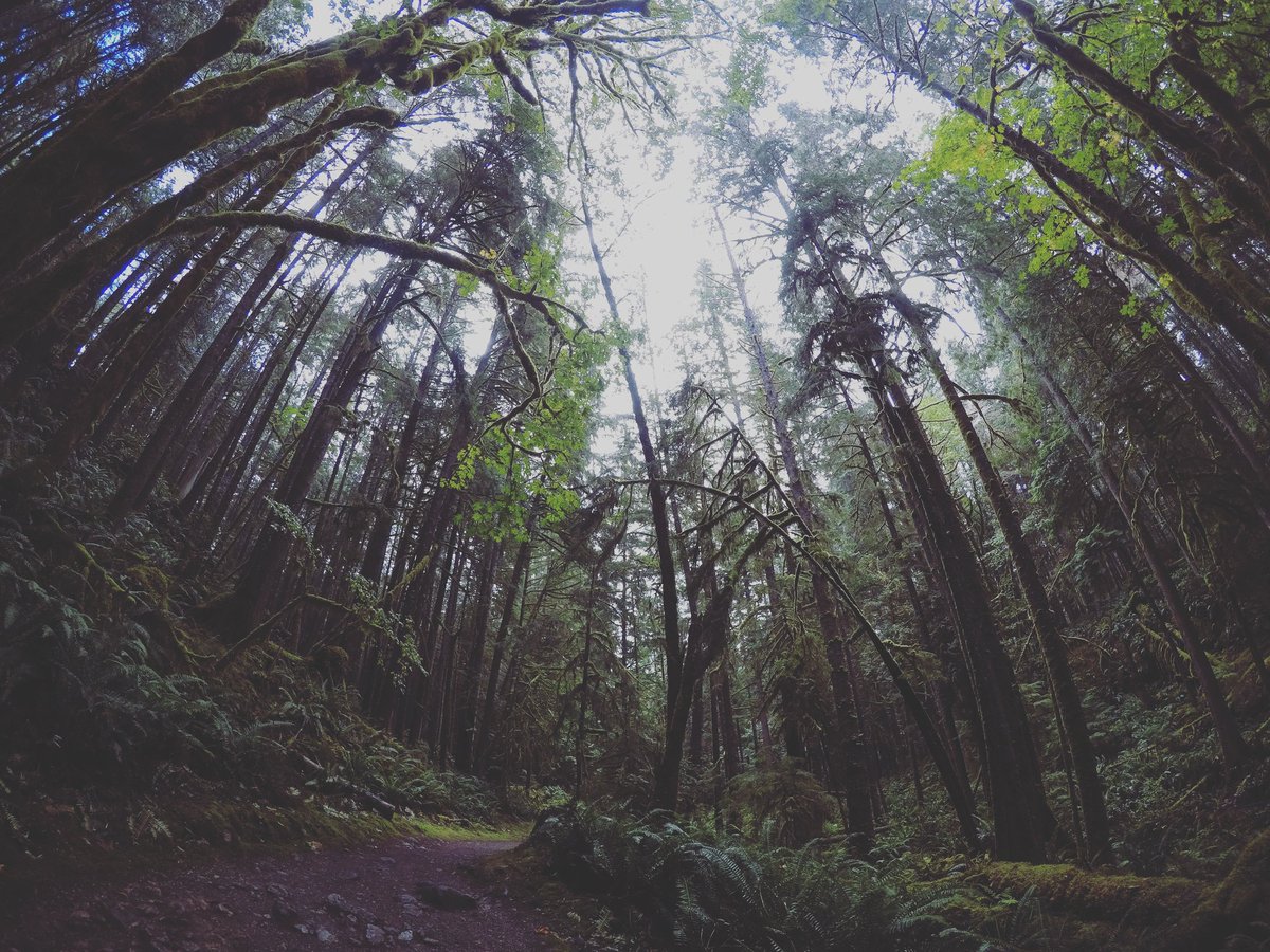 I have been writing a lot of lyrical elements that have to do with growth lately. In so many ways I have been forced to change, adapt and let go over the last couple of years.
#morganridermusic #bc #folk #folklore #folkmusic #folkblues #folksoul #soul #soulblues #blues