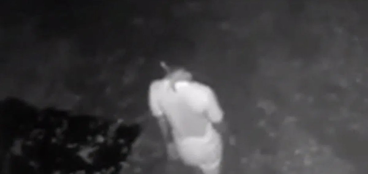 Compare this still photo of the Dec. 17 nighttime intruder, with bandanas around his neck and bandana ties hanging over back of his collar, with this Dec. 23 still photo of Arbery in the house wearing bandana(s) around neck. Autopsy report said he was wearing two tan bandanas.