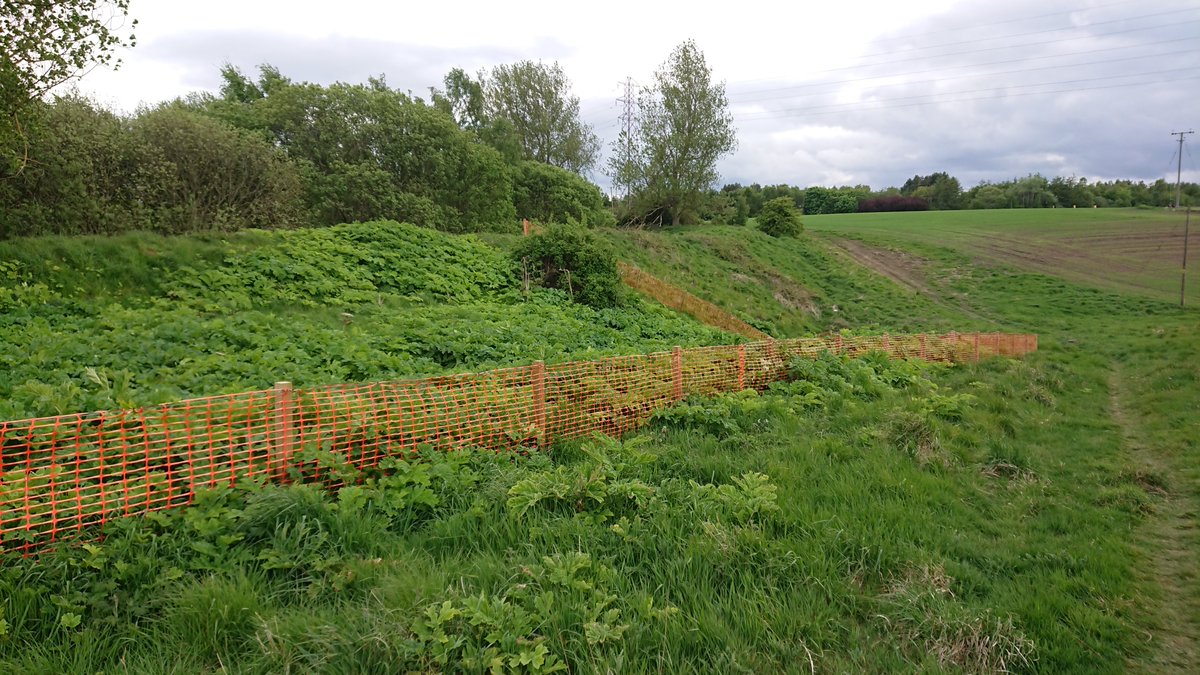 Especially at the bit which was originally a burn