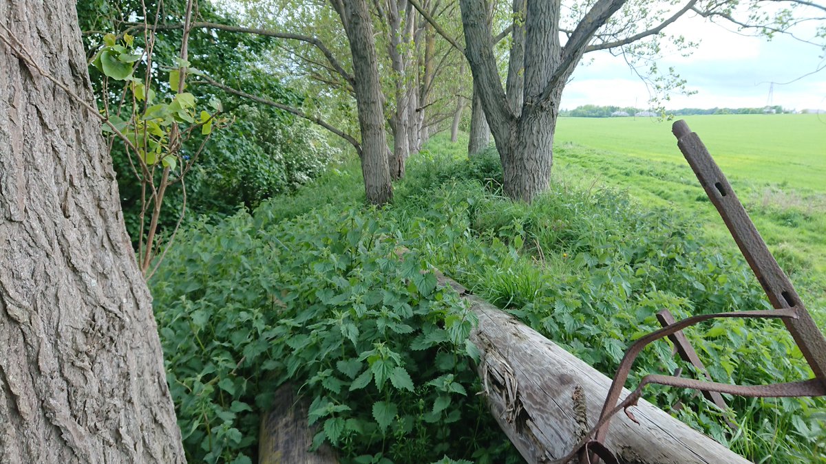 Very much an embankment...