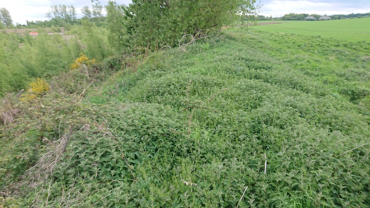 Very much an embankment...