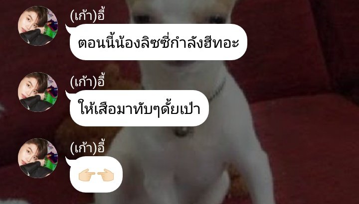 stdstardust's tweet photo. pls rt ♡

#พี่เสืออย่าร้าย

6 พี่เสือจะไม่ทับ

https://t.co/BcG4gSe75j

#โดเตนล์ #จอยโดเตนล์ #ฟิคโดเตนล์ #doten #ficdoten #ficnct #joylada #จอยลดา #คลังฟิคโดเตนล์ https://t.co/RYOl5f9EjG