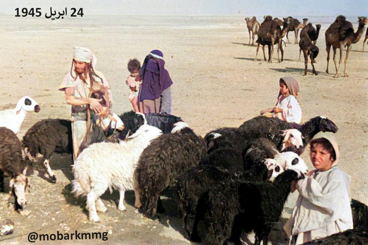 4️⃣
منظر لعائلة بدوية عتيبية تروي خرافها من بئر القاعية. في الخلفية يقف قطيع من الإبل على السهل.
(النص للرحالة تيسنجر)