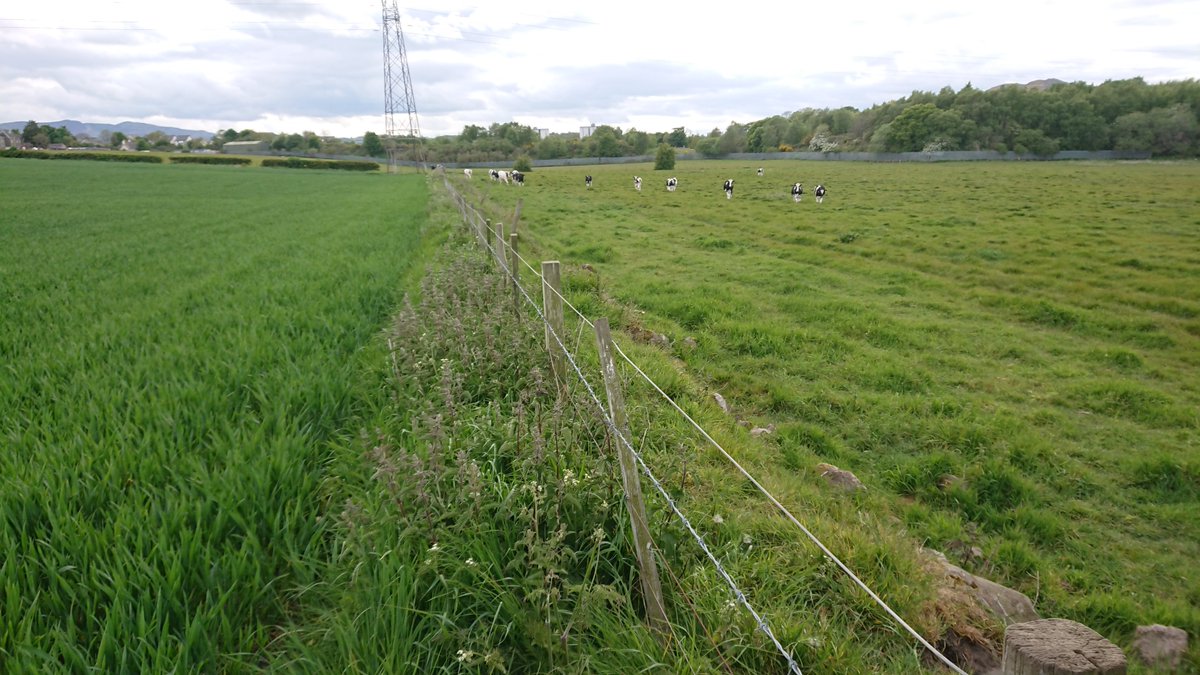 As the embankment levels out (the surrounding ground rising), it's still visible