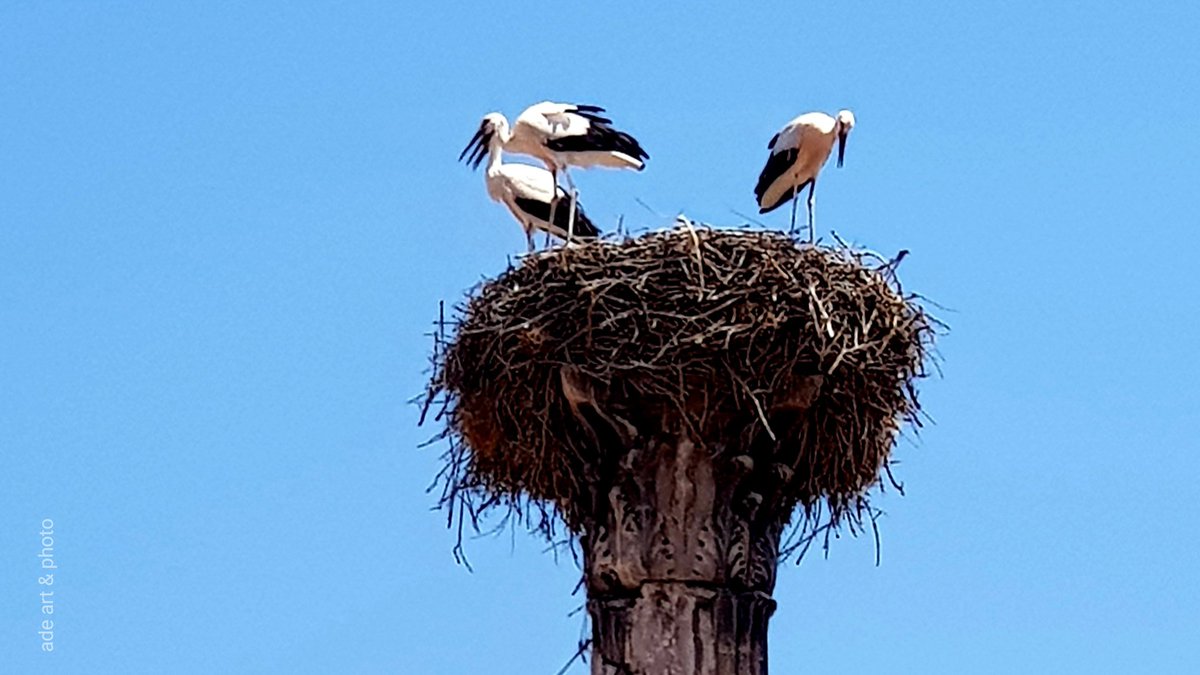 uromedya's tweet image. Siz farkında olmasanız da etrafta gördüğünüz renkler düşüncelerinizi yönlendirebilir. Mesela Mavi; yalnızlığı, üzüntüyü, depresyonu, bilgeliği, güveni ve sadakati simgeler. 
#renklerindili