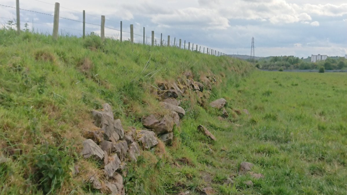 And had an exercise over the Cauldcoast field boundary today, much less overgrown than 3 years ago... 2m high at the highest point(photos going from east to west)