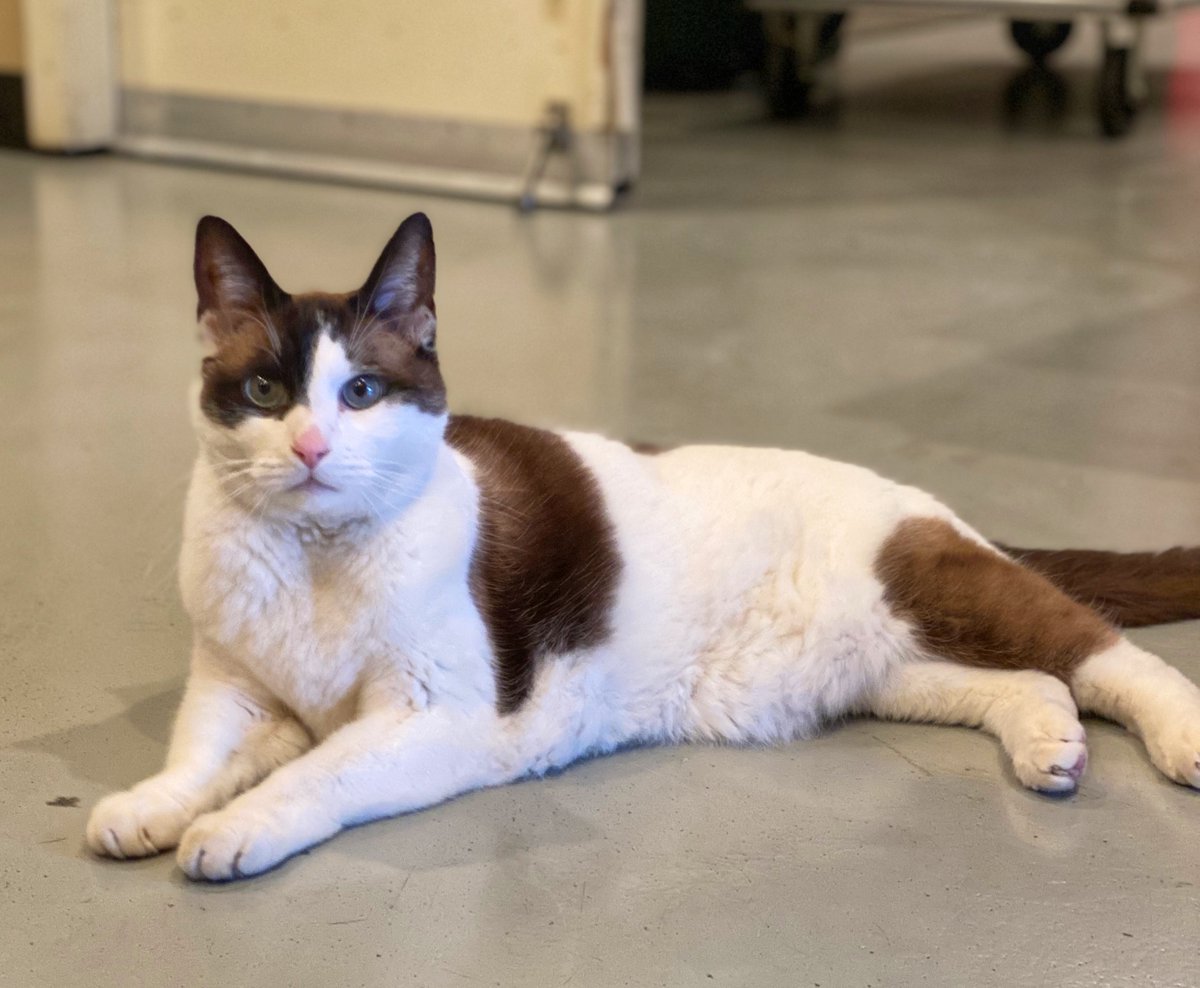 Mitzi & Madi's staff. LOVE Daffy & TSK 🌈❤️😢💔 tweet media