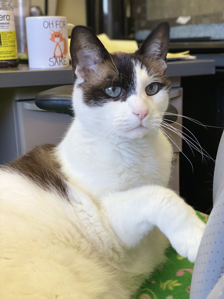 Mitzi & Madi's staff. LOVE Daffy & TSK 🌈❤️😢💔 tweet media