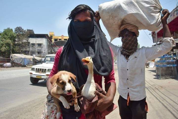 (5/n)Do U freaking have any idea wat is t railways budget of India? A tiny portion of this budget ws needed to help,quarentine,test,isolate,organise transport,assure them & take t misery awayTheir dignity is irreplaceable now #IndiaFightsCorona  #PMDoesNotCare  #india #sad