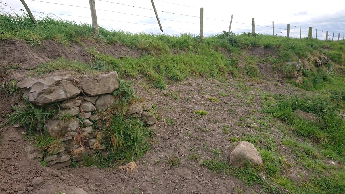 Sections collapsed...