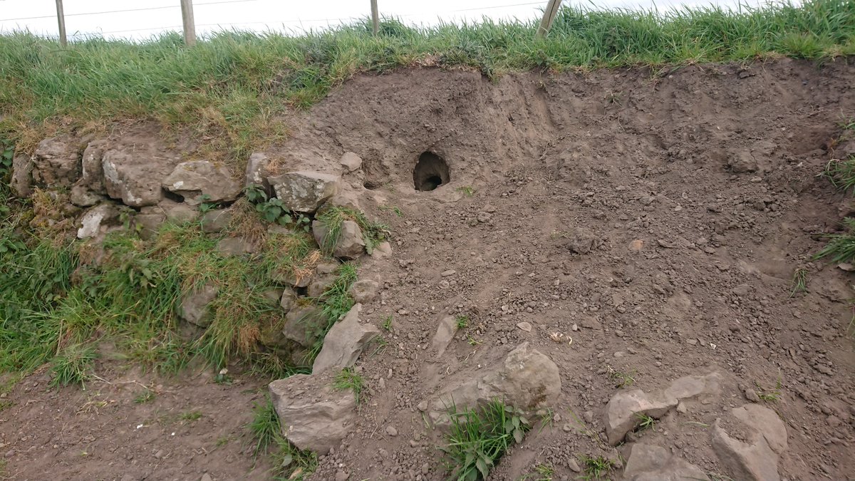 Sections collapsed...